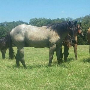 Meet your Posher, Danny